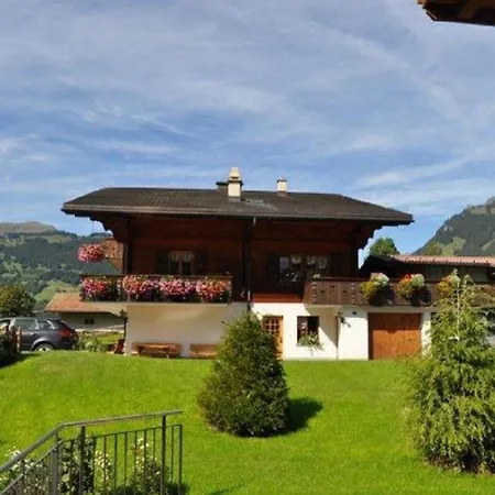 Chalet Stieregg, Studio West Apartment Grindelwald
